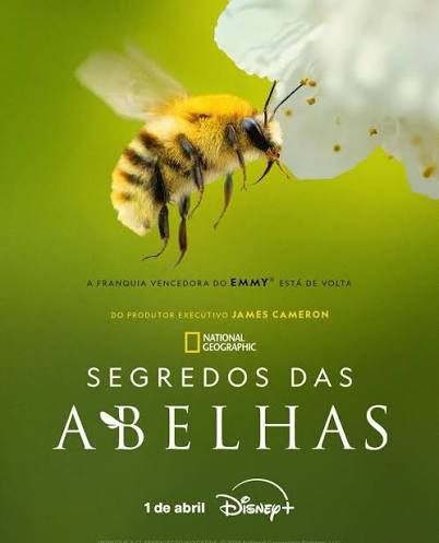 Imagem de divulgação de O Segredo das Abelhas